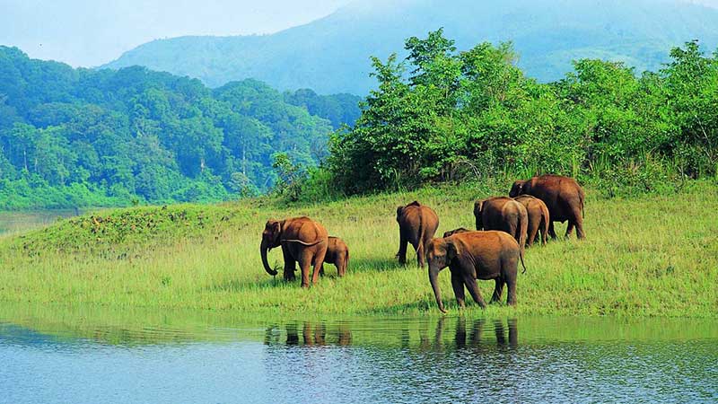 Kerala 10 Days Tour